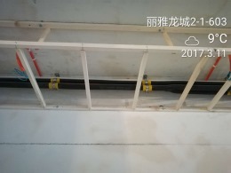 丽雅龙城2-1-603