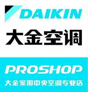 公司介绍